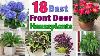 18 Best Plants For Front Door Plants For Your Entrance Plant And Planting