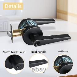 Matte Black Lever Door Handle, Keyed Entry, Passage/Closet, Privacy Bed/Bath